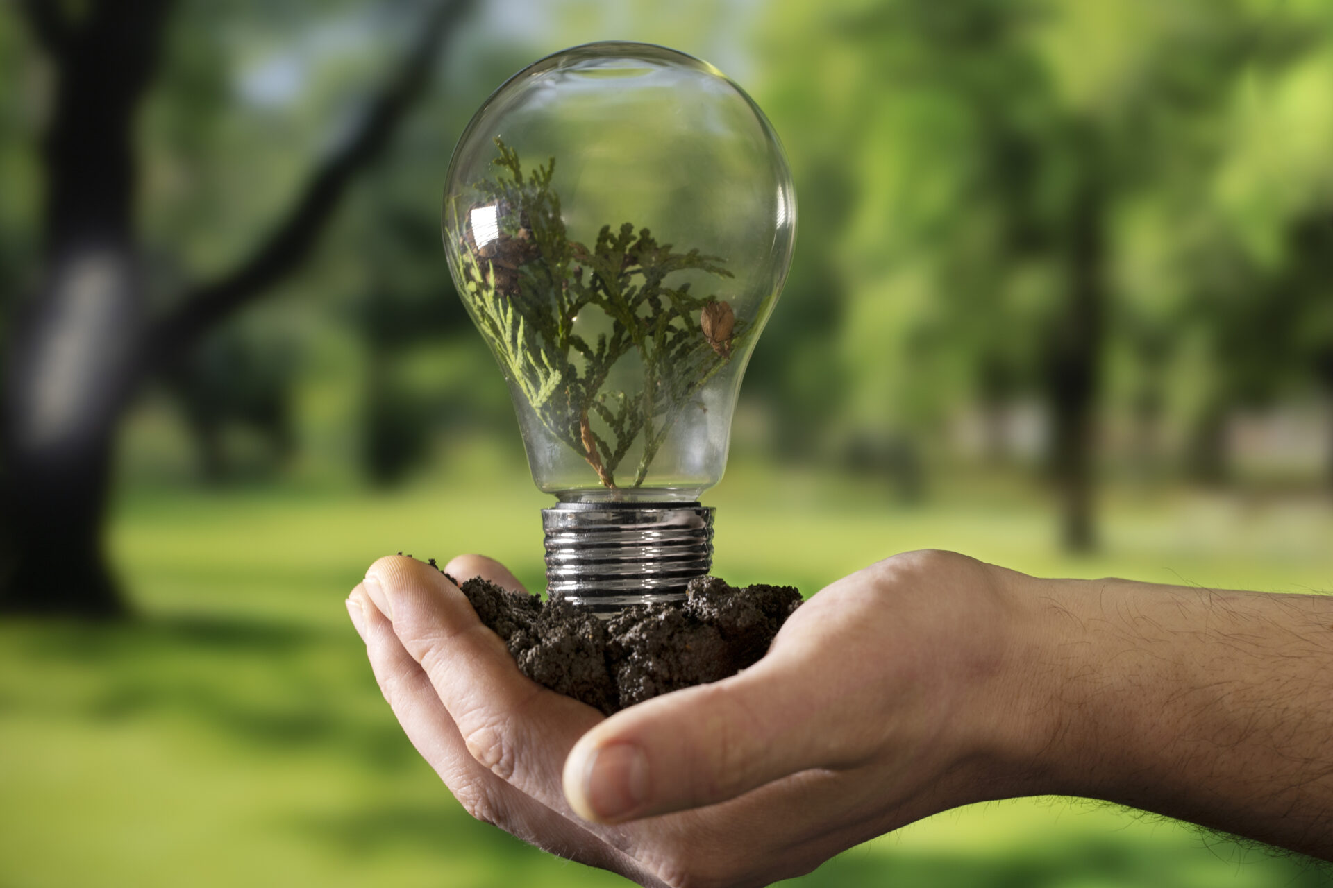 sustainable development goals still life